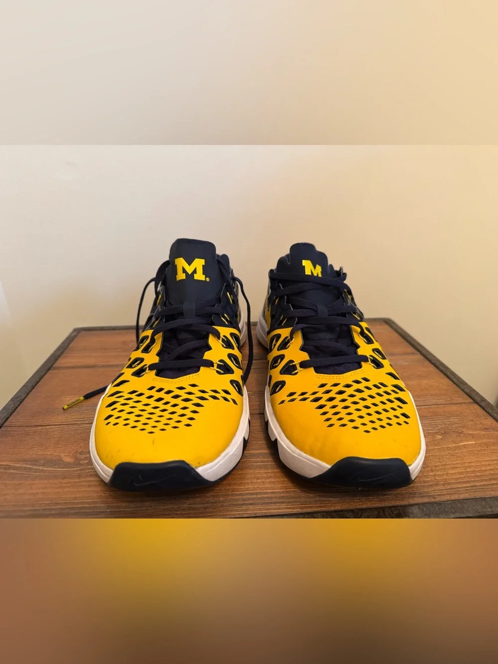 Nike Mens University Michigan Sneakers